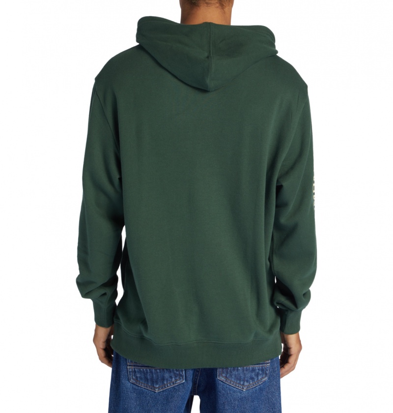 Sycamore DC Shoes Outdoorsman - Hoodie | 783MBWIVN