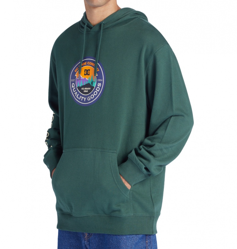 Sycamore DC Shoes Outdoorsman - Hoodie | 783MBWIVN