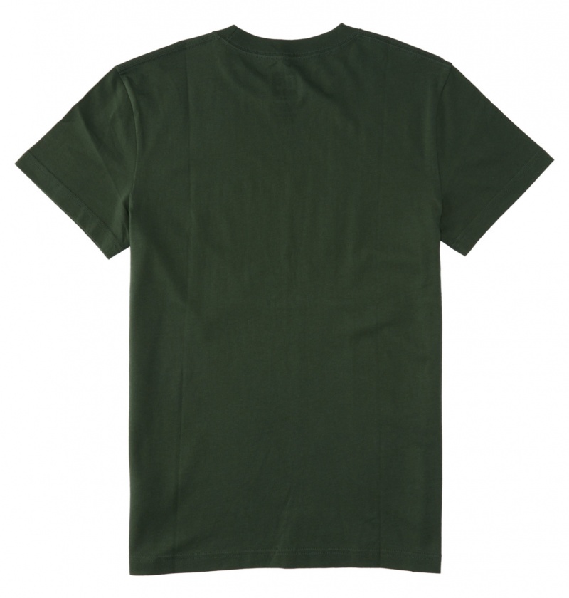 Sycamore DC Shoes Outdoorsman - T-Shirt | 265LQPXNU