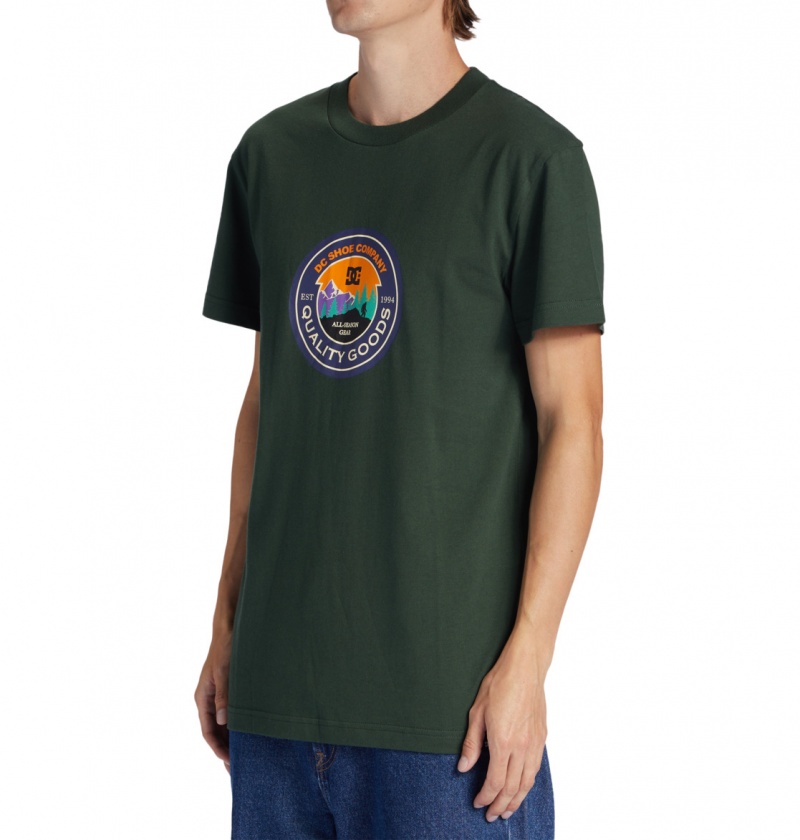 Sycamore DC Shoes Outdoorsman - T-Shirt | 265LQPXNU