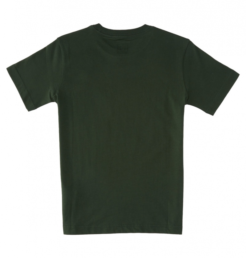 Sycamore DC Shoes World Renowed - T-Shirt 10-16 | 658ZQFCWG