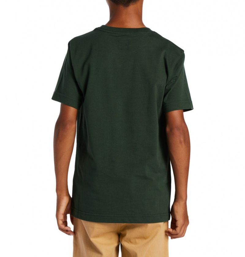 Sycamore DC Shoes World Renowed - T-Shirt 10-16 | 658ZQFCWG