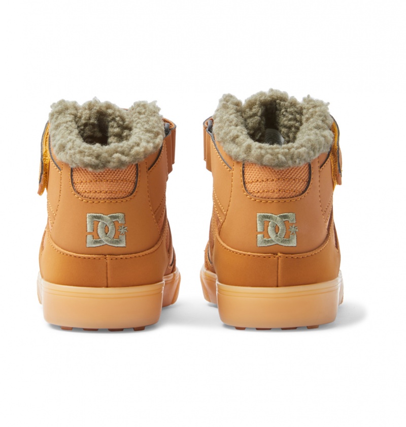 Wheat DC Shoes Pure High WNT - Winter High-Top Boots | 894TSKRAH