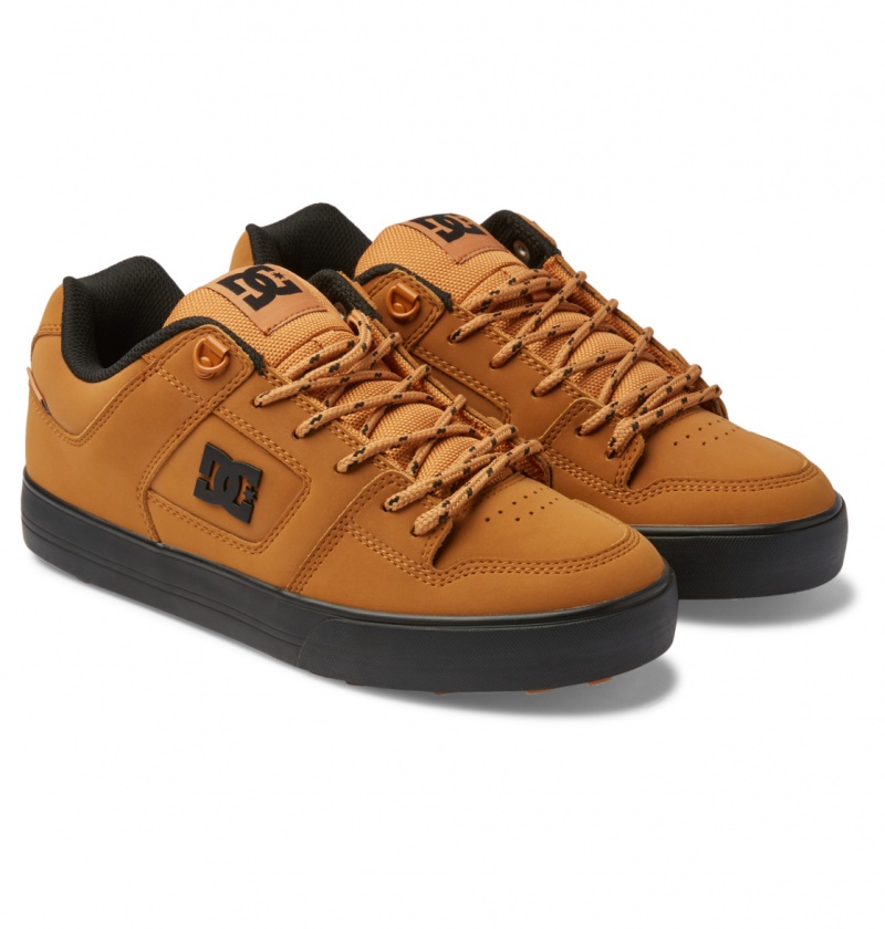 Wheat DC Shoes Pure WNT - Winterised Shoes | 056SGWMTL