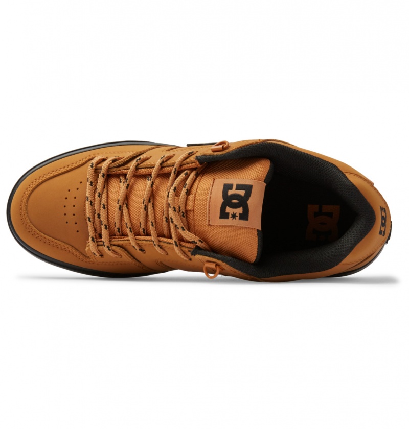 Wheat DC Shoes Pure WNT - Winterised Shoes | 056SGWMTL