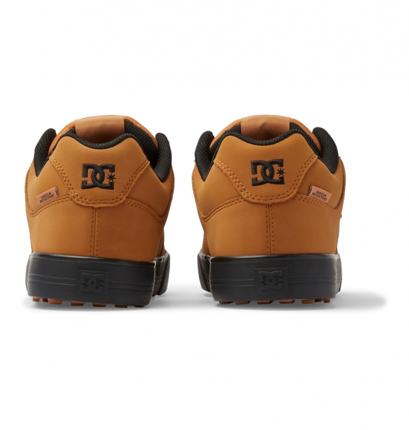 Wheat DC Shoes Pure WNT - Winterised Shoes | 056SGWMTL