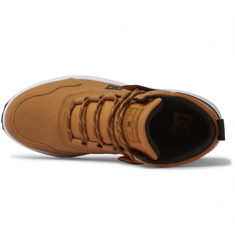 Wheat / Black DC Shoes Mutiny - Leather Boots | 920MSDHKL