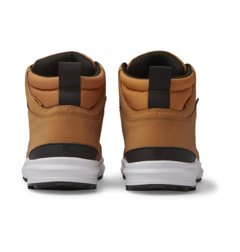 Wheat / Black DC Shoes Mutiny - Leather Boots | 920MSDHKL