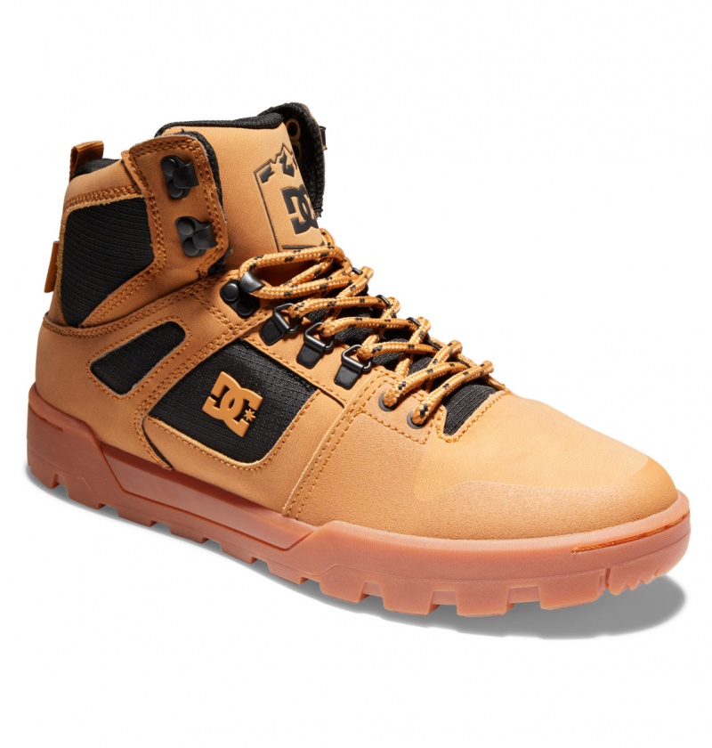 Wheat / Black DC Shoes Pure Hi - Water Resistant High Top Leather Boots | 687OWHRUY