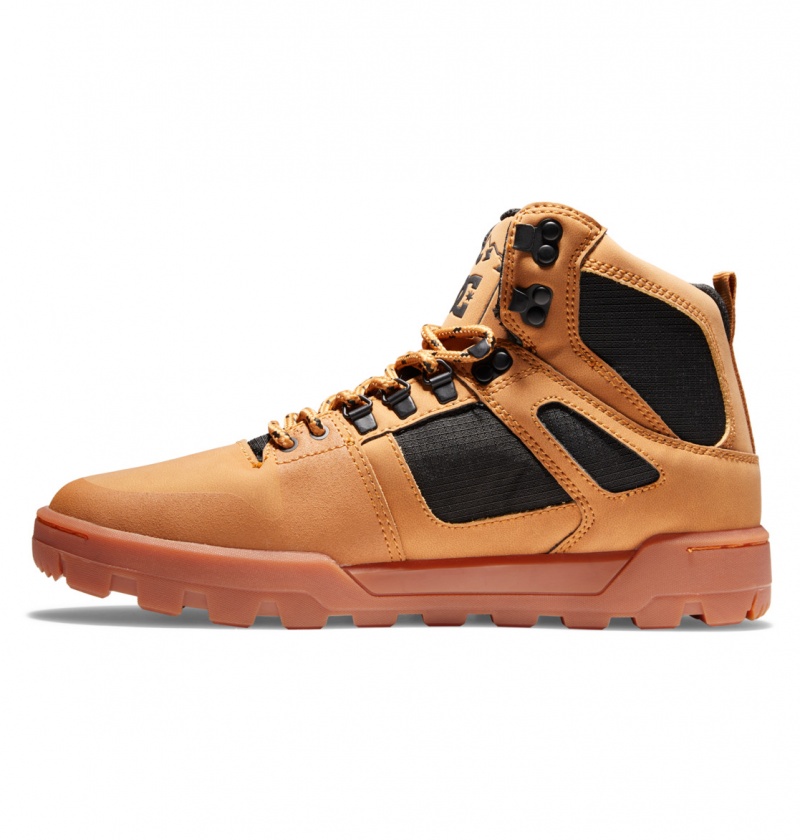 Wheat / Black DC Shoes Pure Hi - Water Resistant High Top Leather Boots | 687OWHRUY