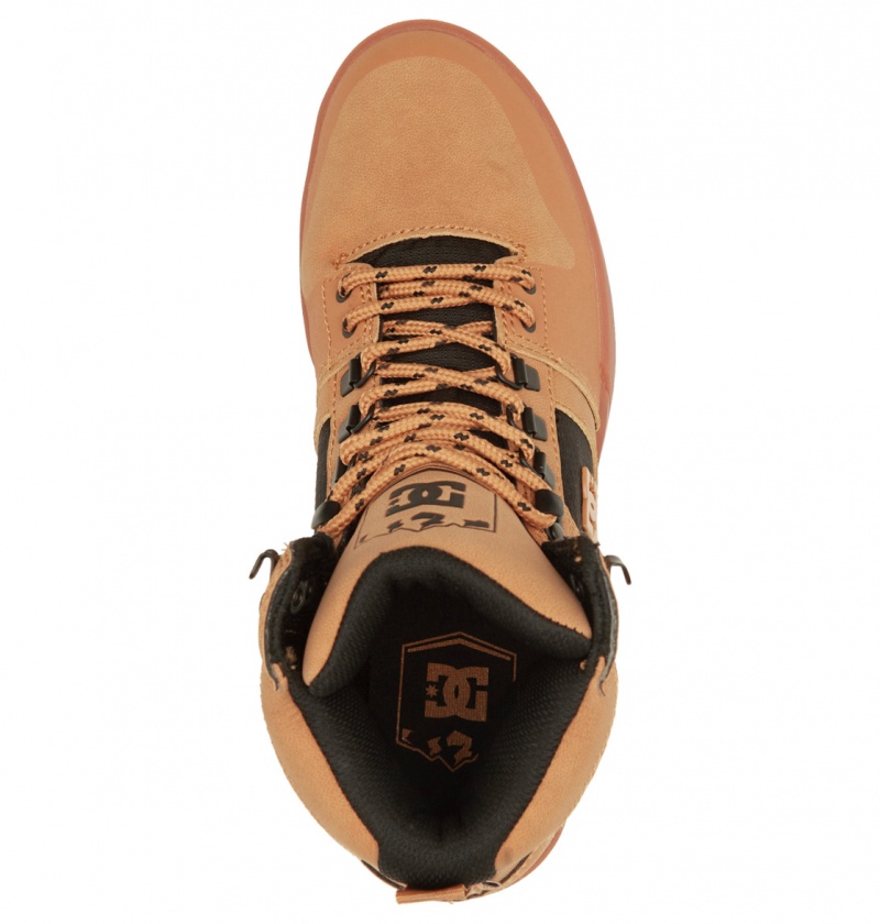 Wheat / Black DC Shoes Pure Hi - Water Resistant High Top Leather Boots | 687OWHRUY