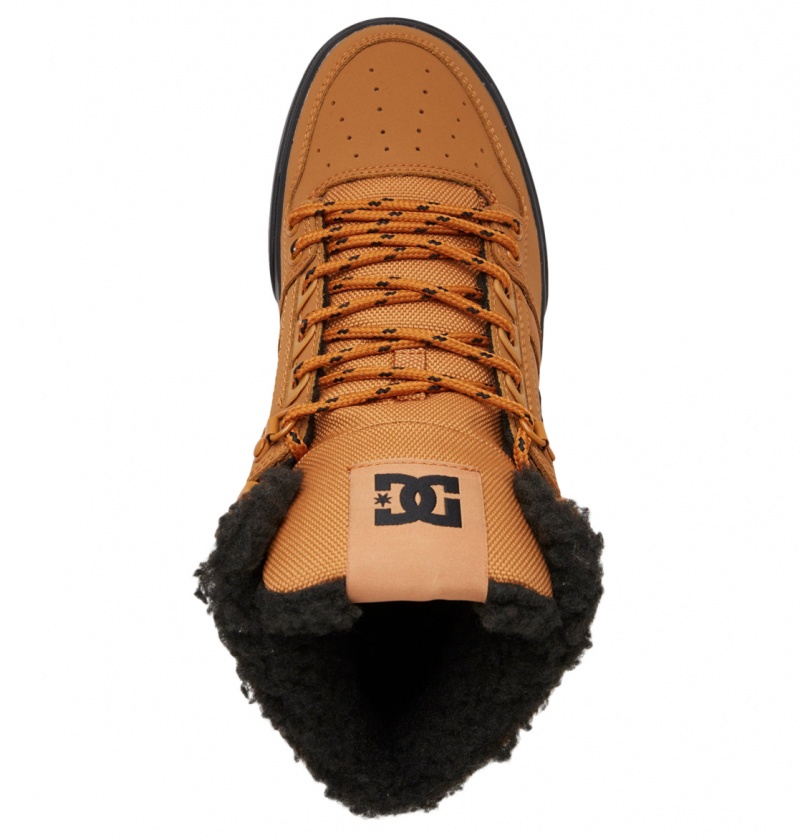 Wheat / Black DC Shoes Pure High WNT - Winter High-Top Boots | 271KIDAMG