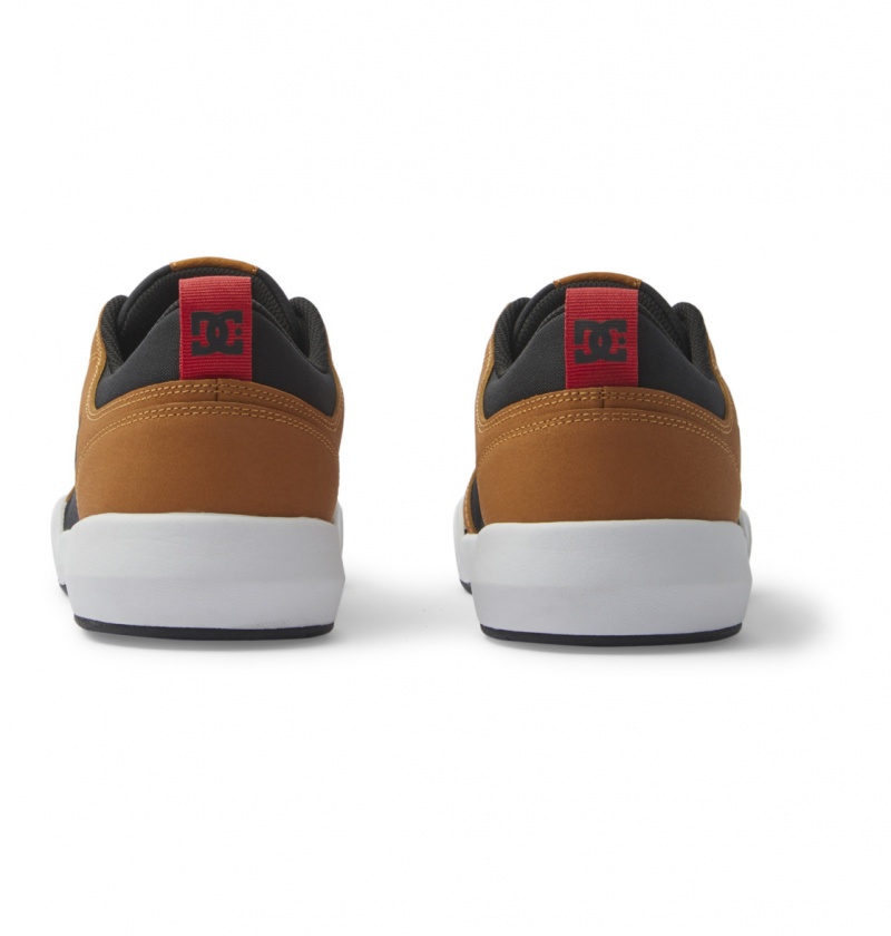 Wheat / Black DC Shoes Transit Wnt - Winterized Shoes | 405RUCFSN