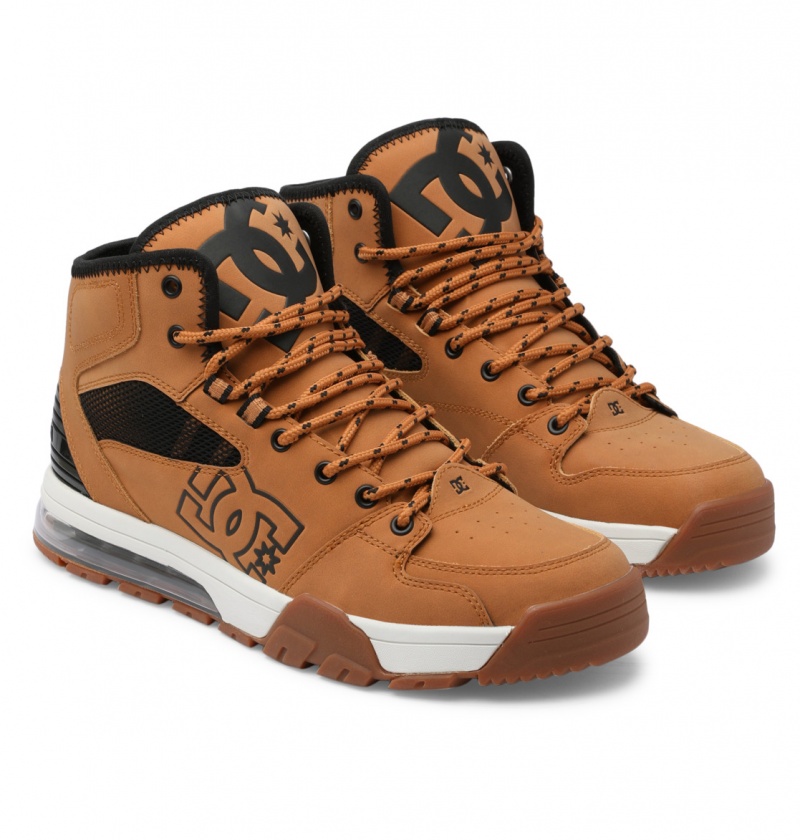 Wheat / Black DC Shoes Versatile Hi WR - Lace-Up Boots | 104JVHUWL