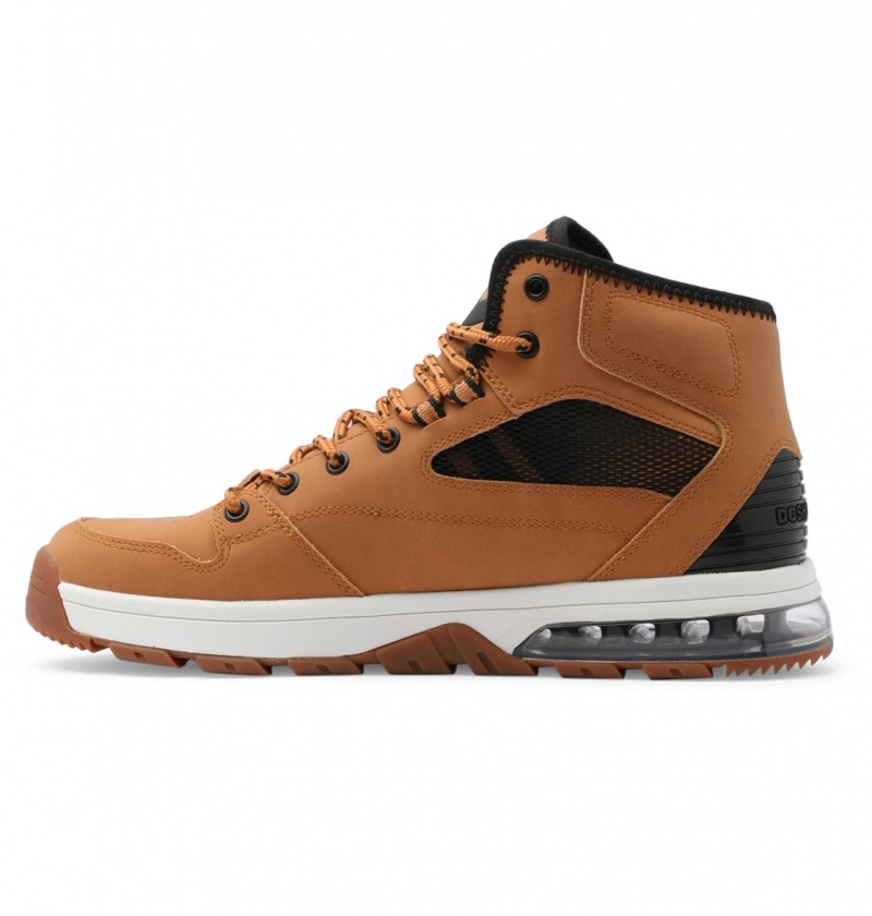 Wheat / Black DC Shoes Versatile Hi WR - Lace-Up Boots | 104JVHUWL