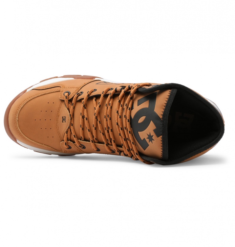 Wheat / Black DC Shoes Versatile Hi WR - Lace-Up Boots | 104JVHUWL