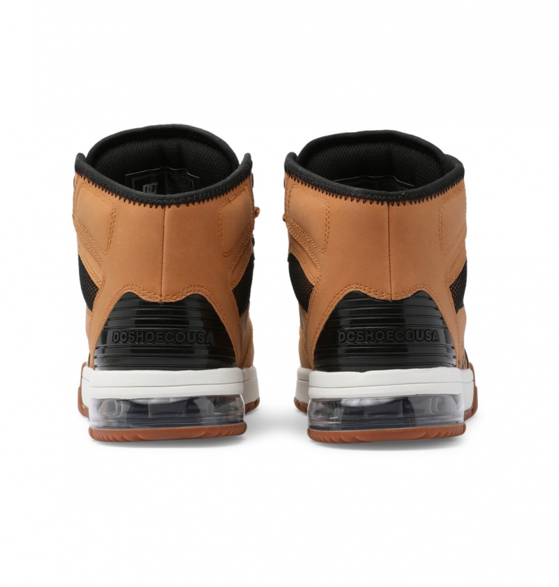 Wheat / Black DC Shoes Versatile Hi WR - Lace-Up Boots | 104JVHUWL