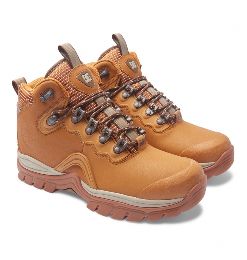 Wheat / Dk Chocolate DC Shoes Navigator - Leather High Top Boots | 901ZWOVYB