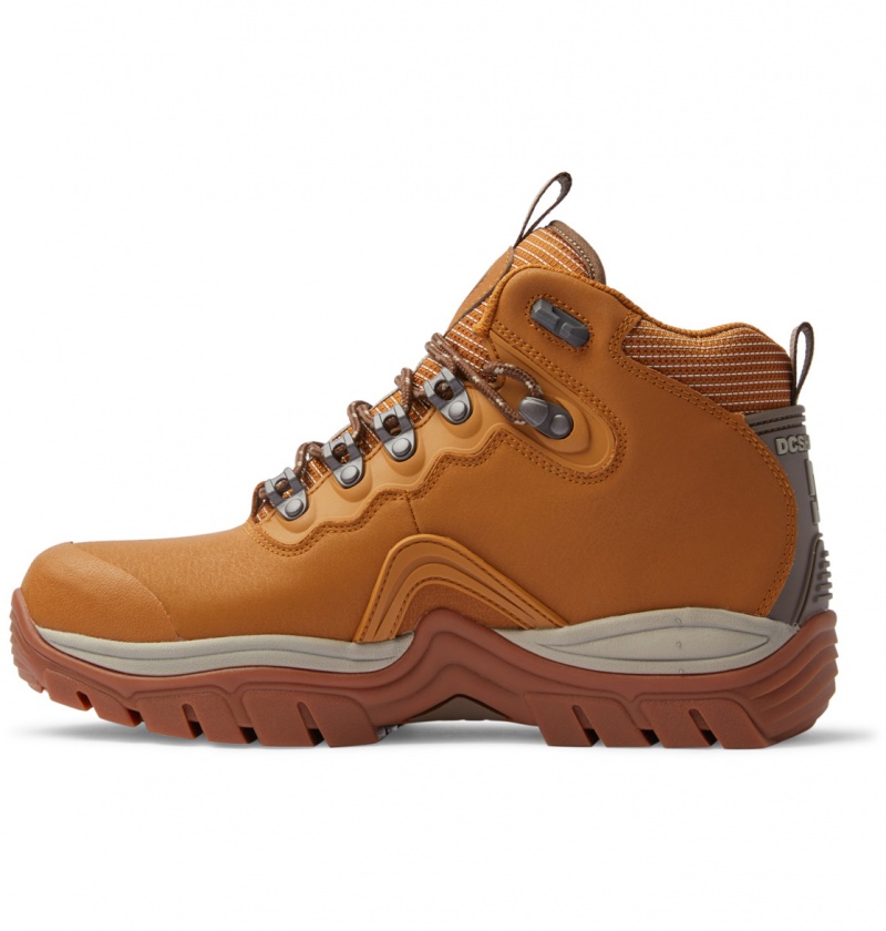 Wheat / Dk Chocolate DC Shoes Navigator - Leather High Top Boots | 901ZWOVYB