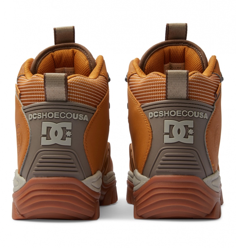 Wheat / Dk Chocolate DC Shoes Navigator - Leather High Top Boots | 901ZWOVYB