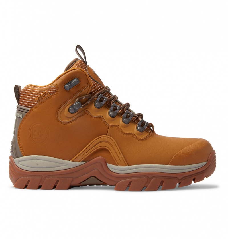 Wheat / Dk Chocolate DC Shoes Navigator - Leather High Top Boots | 901ZWOVYB