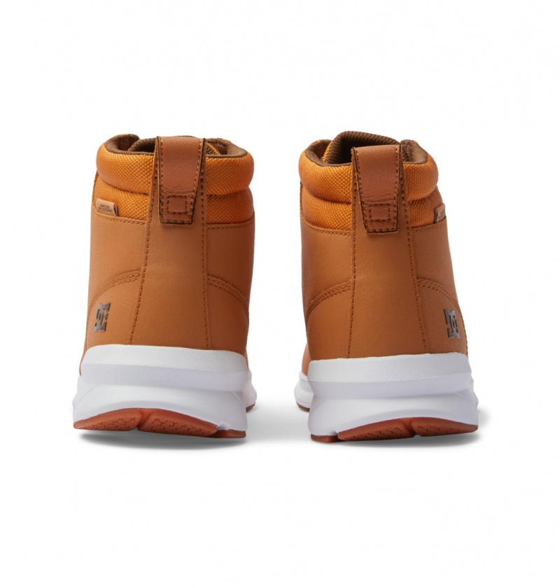 Wheat / Turkish Coffee DC Shoes Mason 2 - Water Resistant Leather Shoes | 793BJRHPA