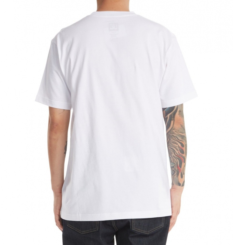 White DC Shoes DC Star - T-Shirt | 319SMVALY