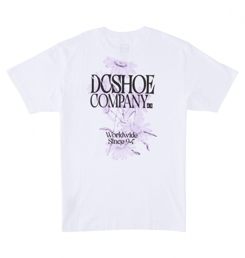 White DC Shoes Decline - T-Shirt | 059WPRTKH