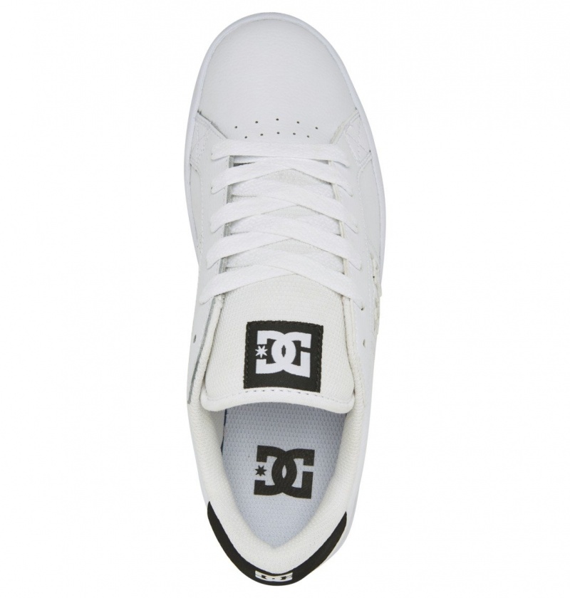 White / Black / Gum DC Shoes Striker - Leather Shoes | 140ONZDYW