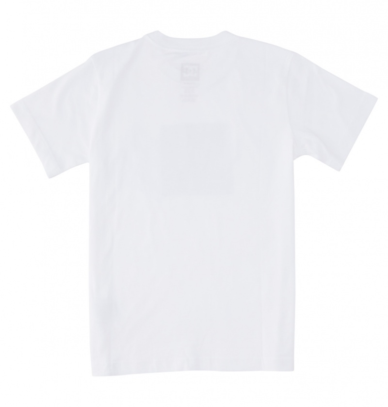 White / Greystone DC Shoes DC Square Star Fill - Short Sleeve T-Shirt 8-16 | 605ZERHIG