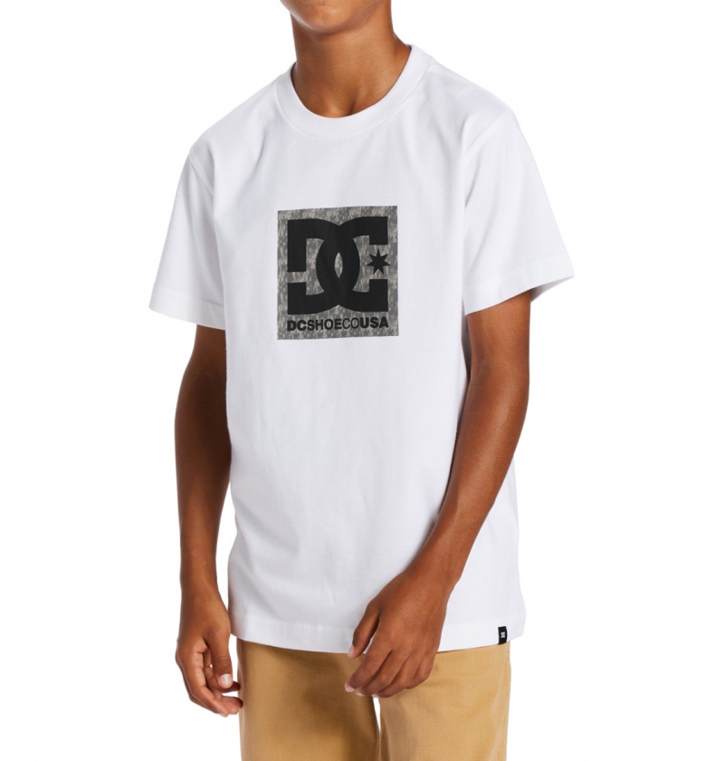 White / Greystone DC Shoes DC Square Star Fill - Short Sleeve T-Shirt 8-16 | 605ZERHIG