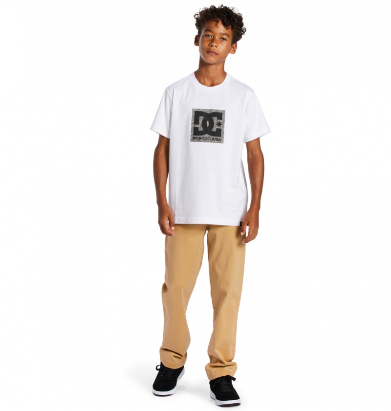 White / Greystone DC Shoes DC Square Star Fill - Short Sleeve T-Shirt 8-16 | 605ZERHIG