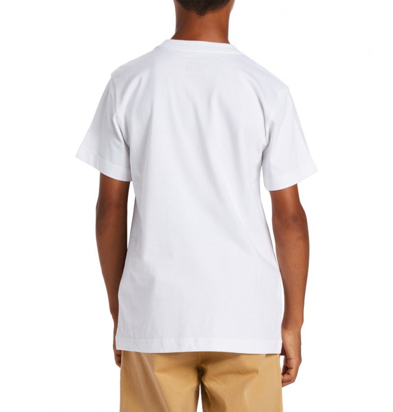 White / Greystone DC Shoes DC Square Star Fill - Short Sleeve T-Shirt 8-16 | 605ZERHIG